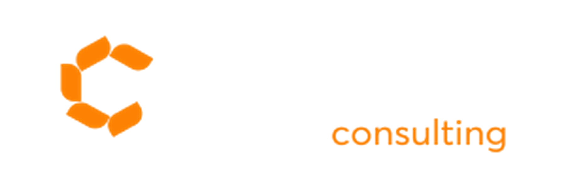Viettonkin Consulting