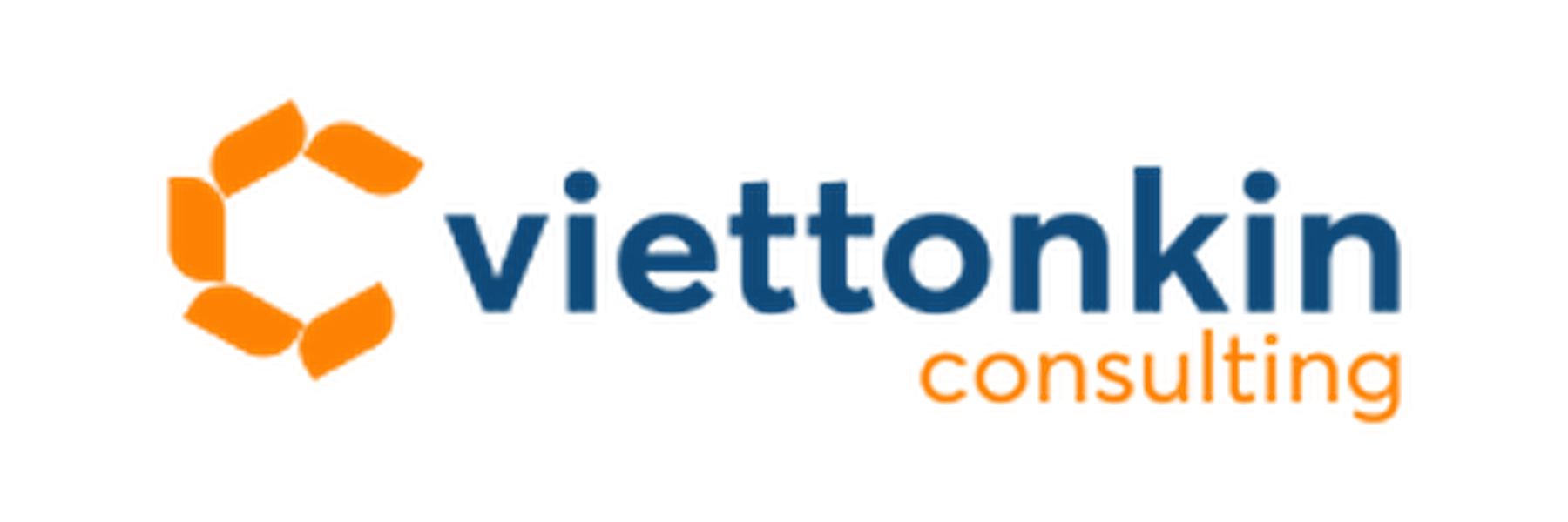 Viettonkin Consulting